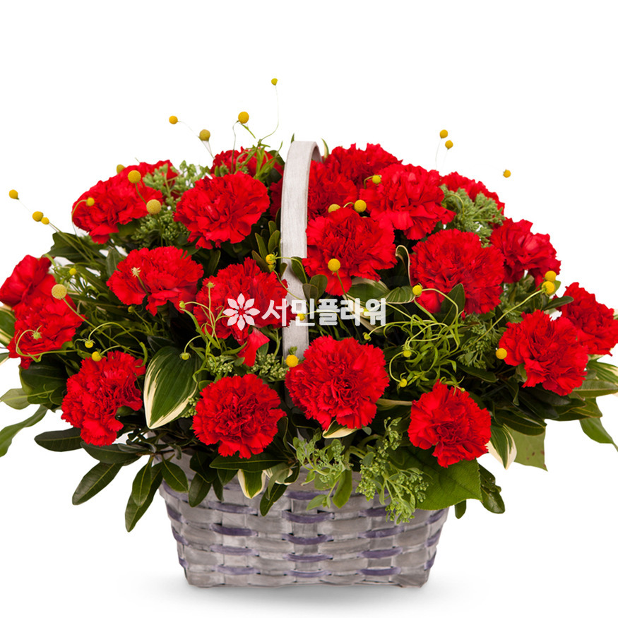 상세이미지
