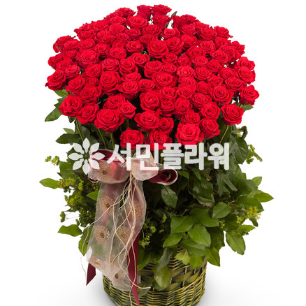 사랑하는 그대에게(가격문의) [예약필수]