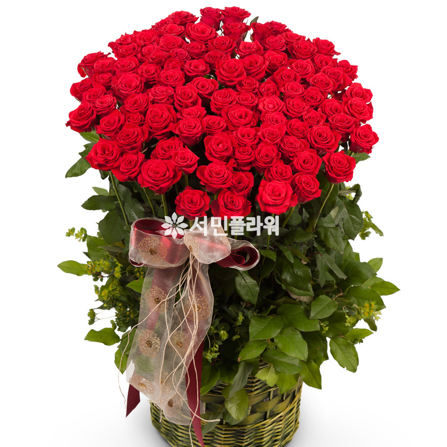 상세이미지