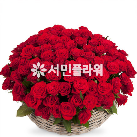 레드 3호 (가격문의)