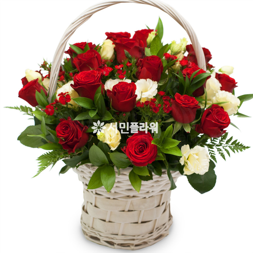 상세이미지