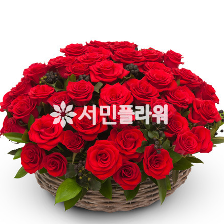 레드장미바구니
