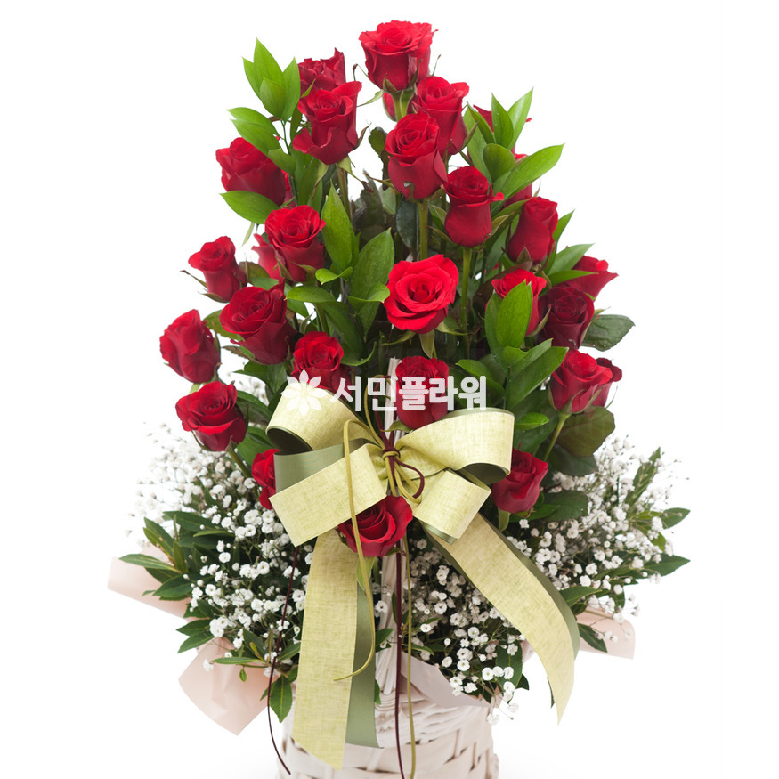 상세이미지