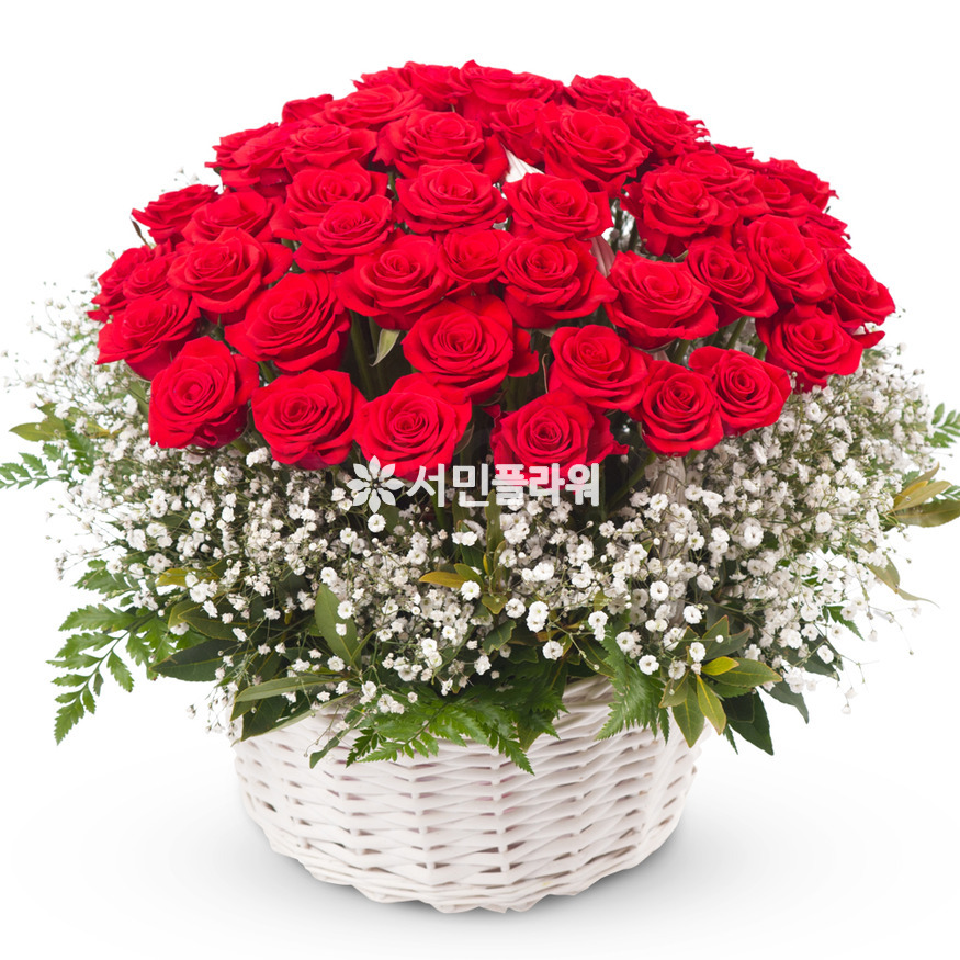 상세이미지