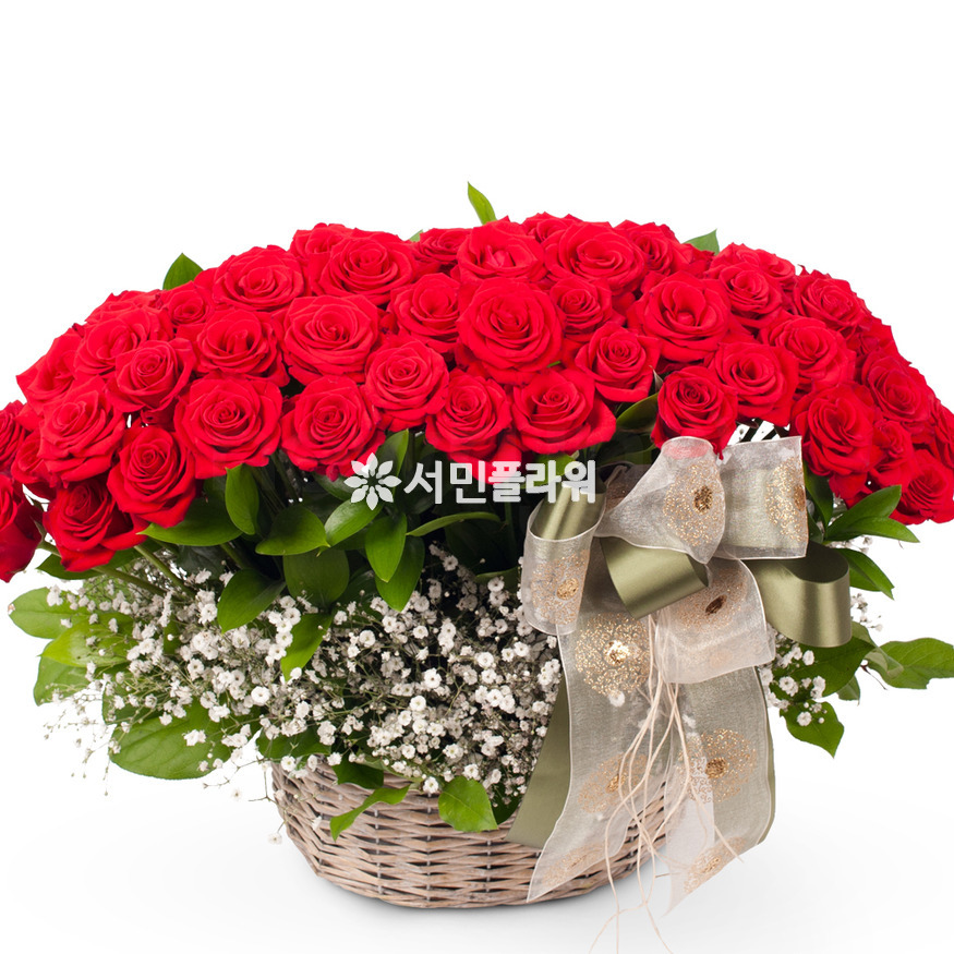 상세이미지