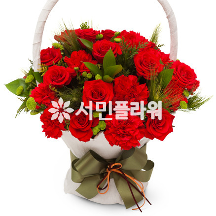 감사합니다(코사지무료)