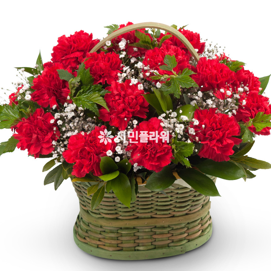상세이미지