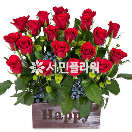 로즈천사 a040