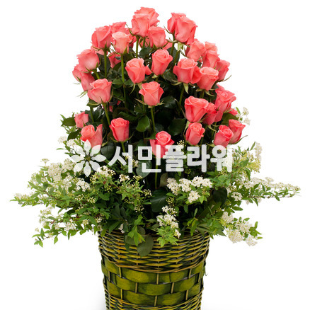 내 사랑 여인이여~