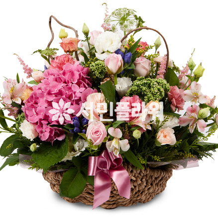 기쁜나날들