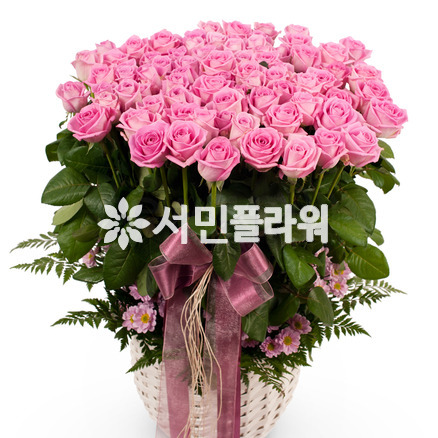 아침같은 사랑 (가격문의)