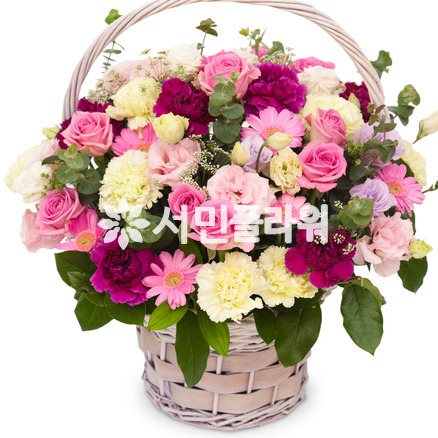 피어나리