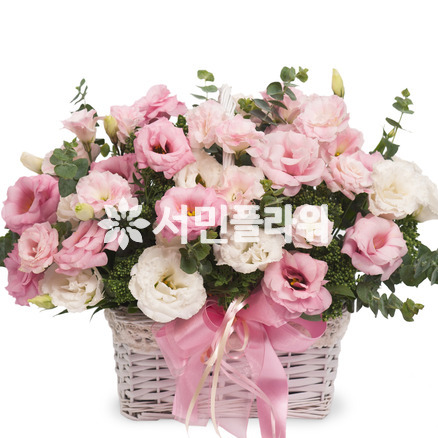 핑크리시안바구니