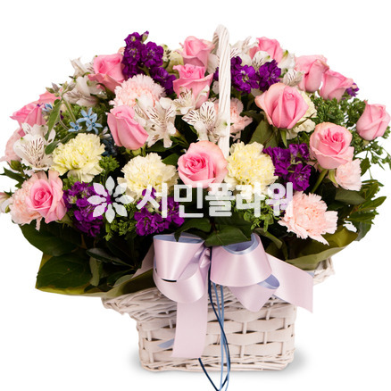 핑크빛바구니