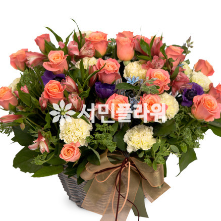 핑크톤바구니