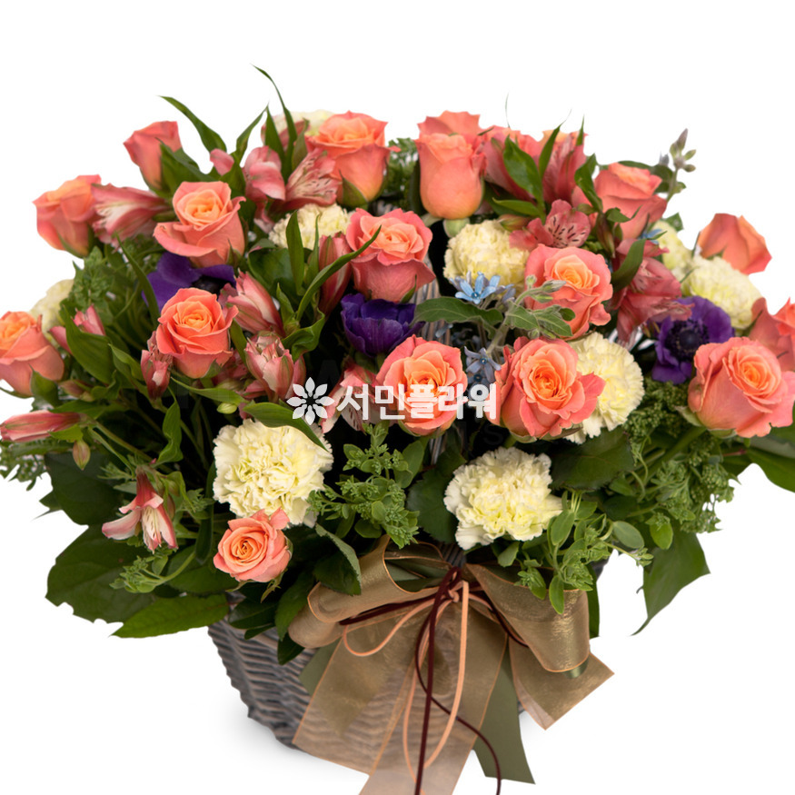 상세이미지