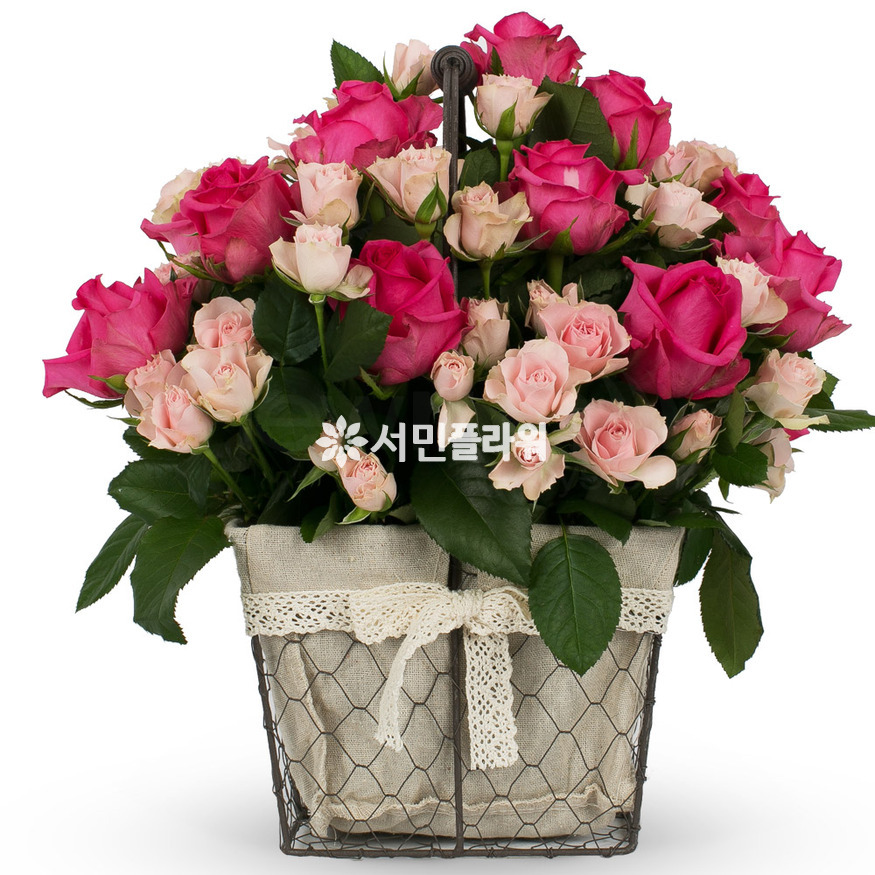 상세이미지