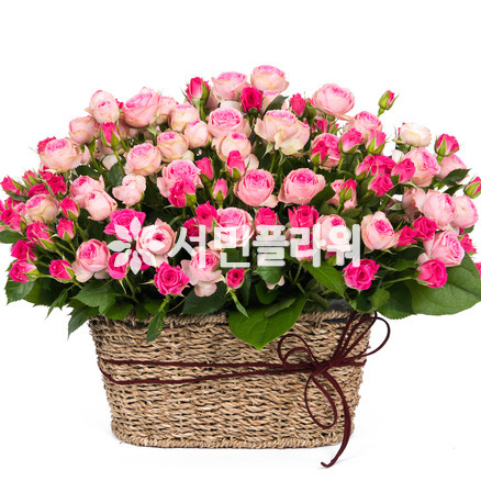 그대를 사랑합니다~♥