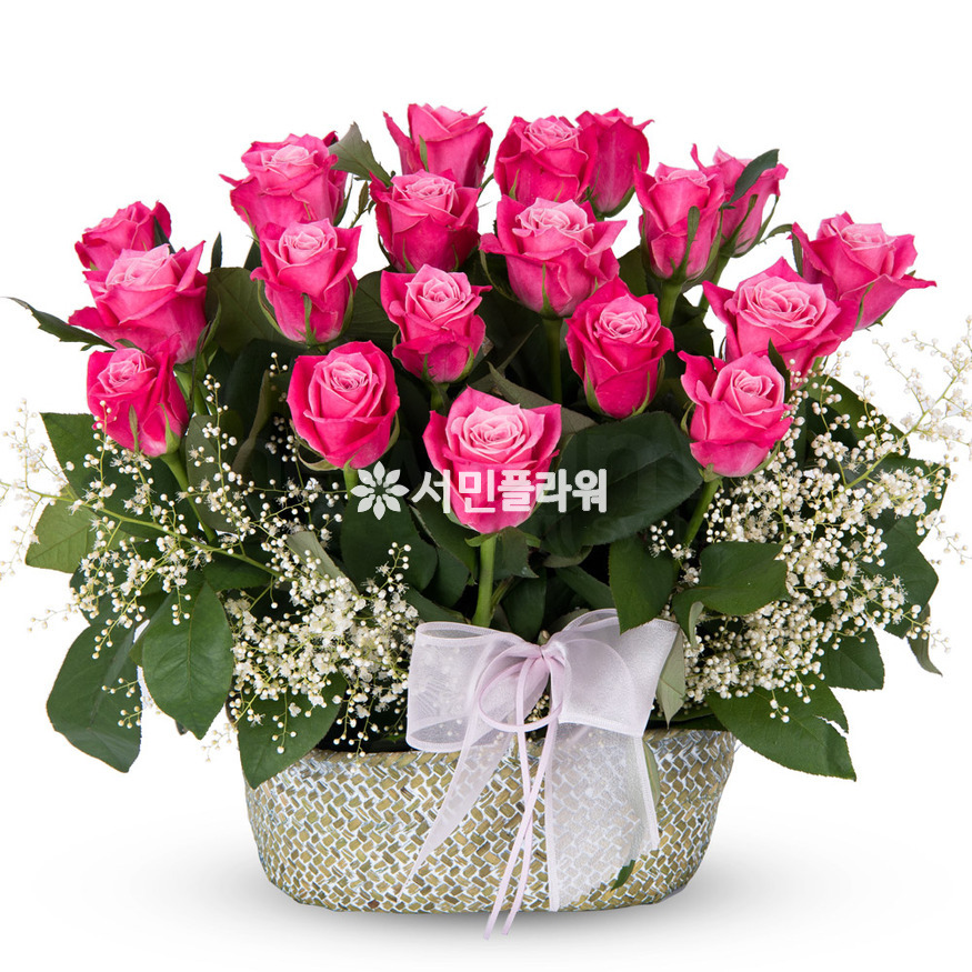 상세이미지