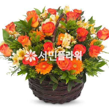 화려한 외출(꽃바구니)