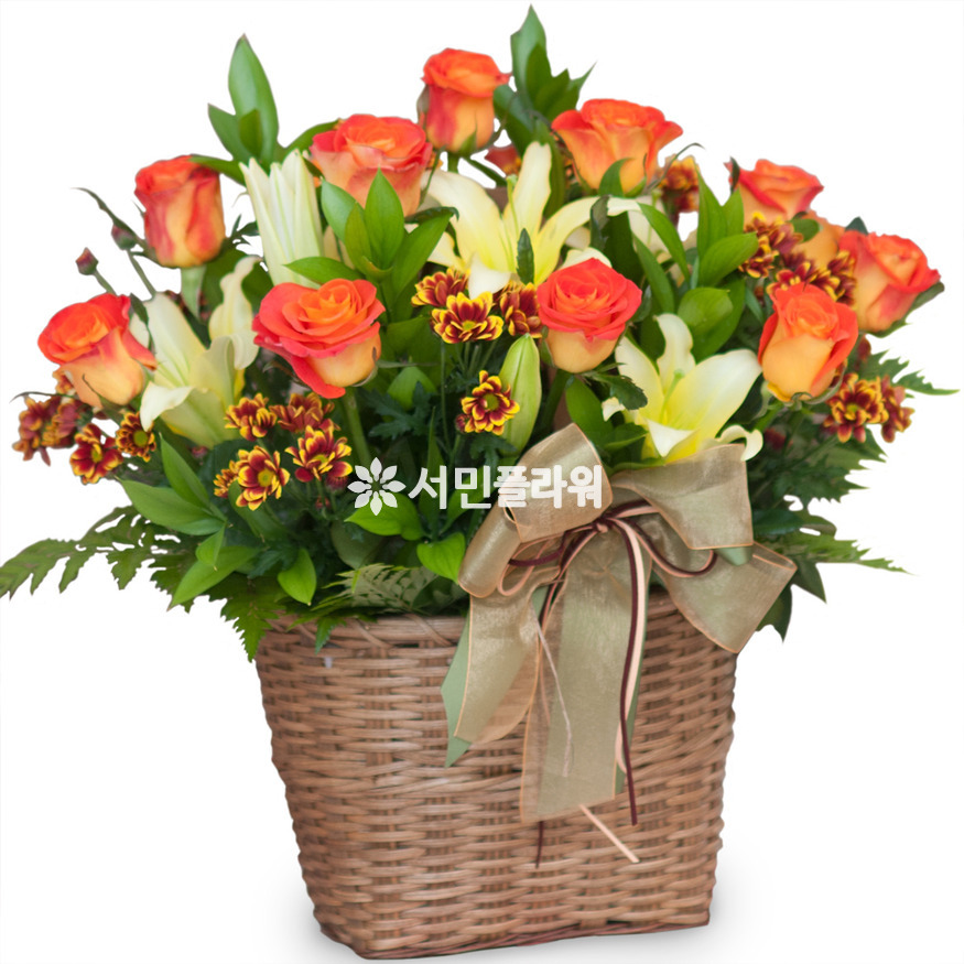 상세이미지