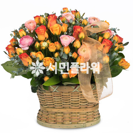 햇살좋은날♡상큼한하루