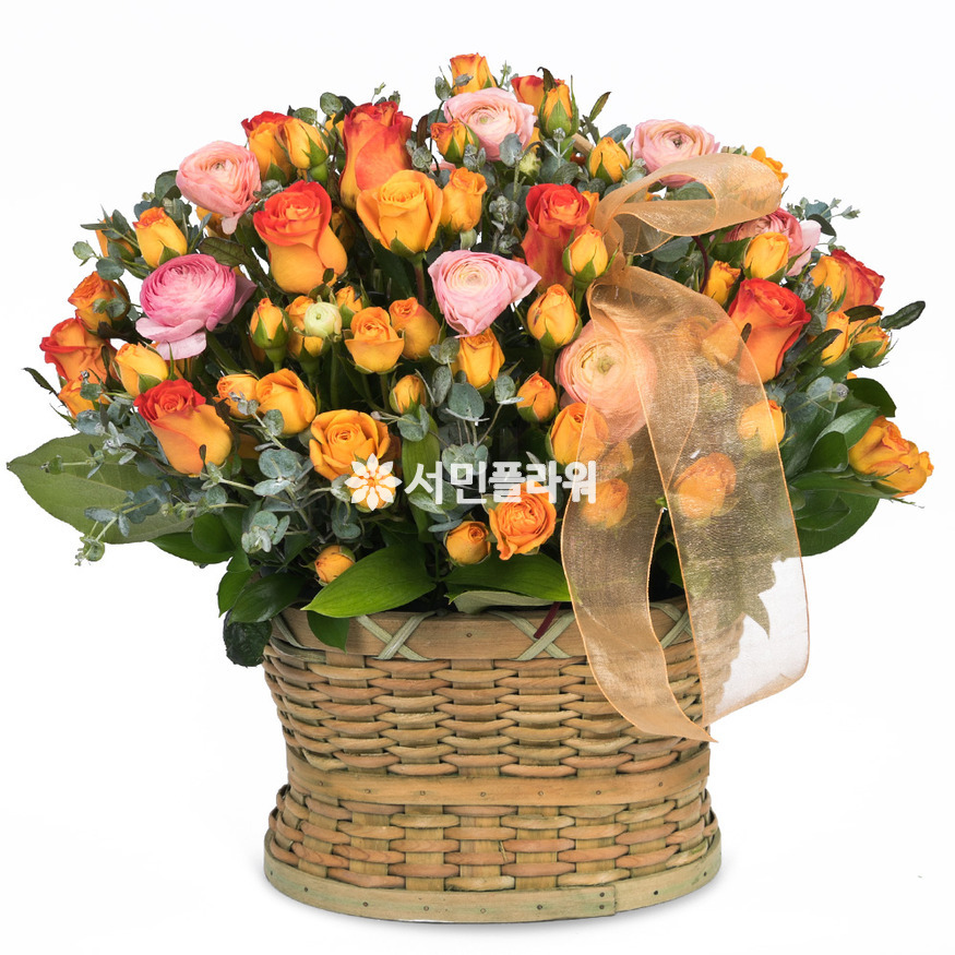 상세이미지