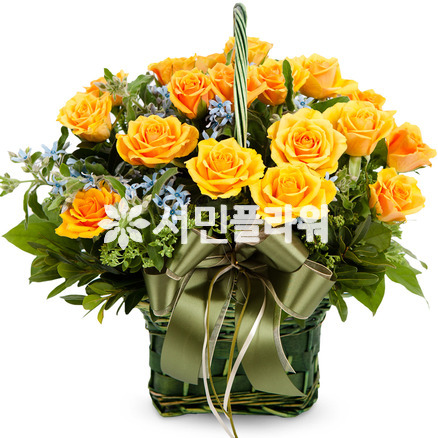 엘로 2호