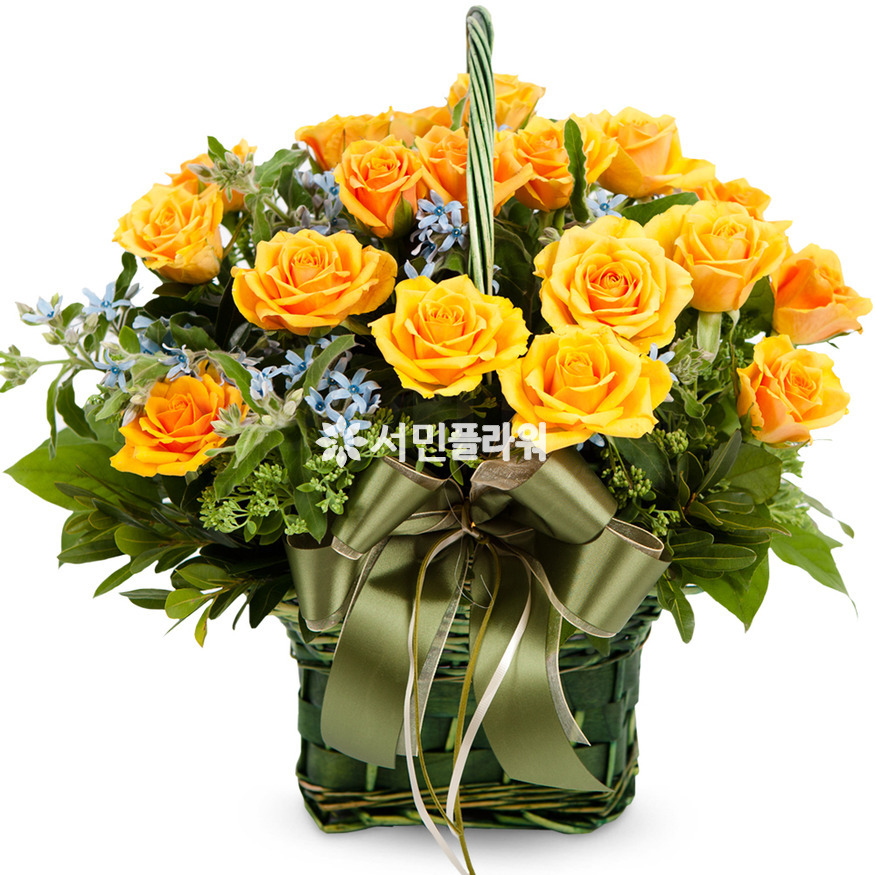 상세이미지