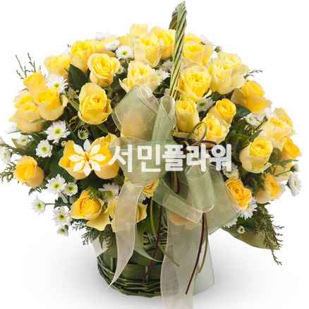 엘로 5호