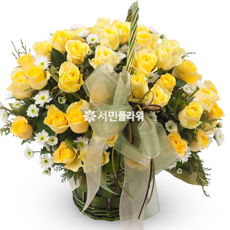 상세이미지