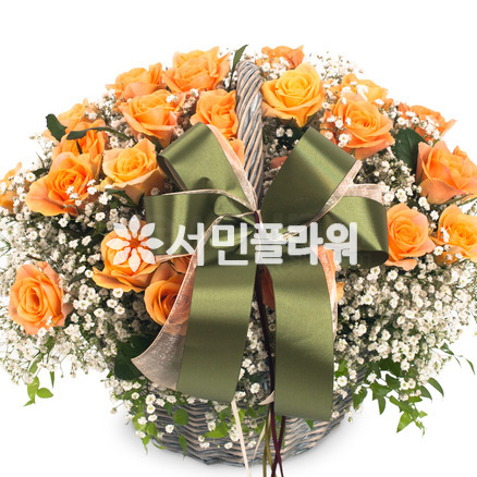 엘로 3호