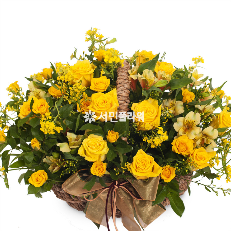 상세이미지