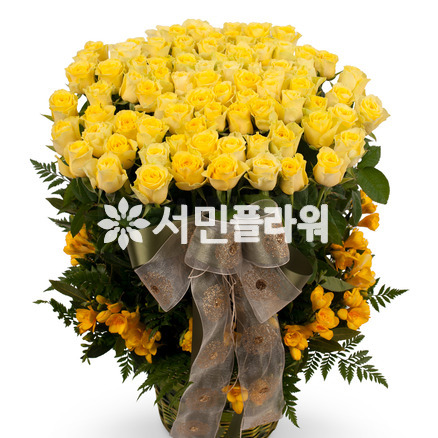 노랑장미100송이 (가격문의)