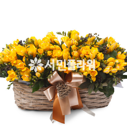 후리지아 정원