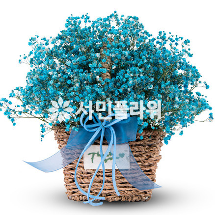 너에게 전하는 내 맘