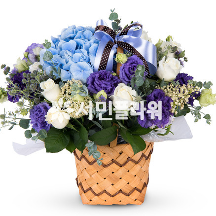 해피바이러스