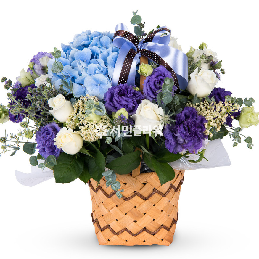 상세이미지