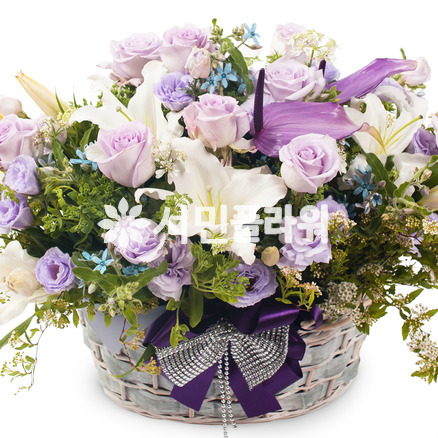 흐린날의오후