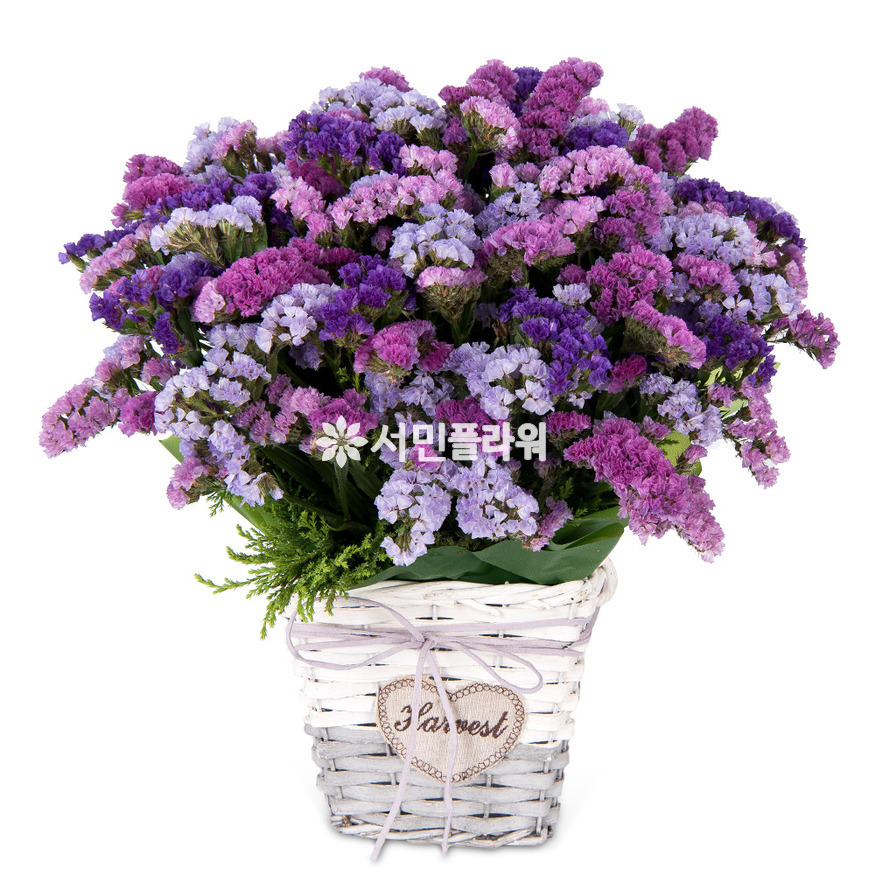 상세이미지