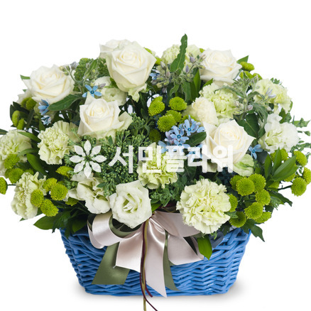 화이트/블루