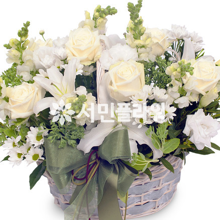 순결한 사랑