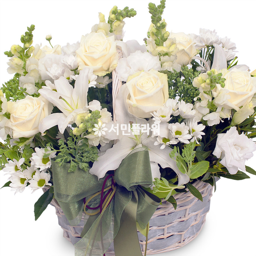상세이미지