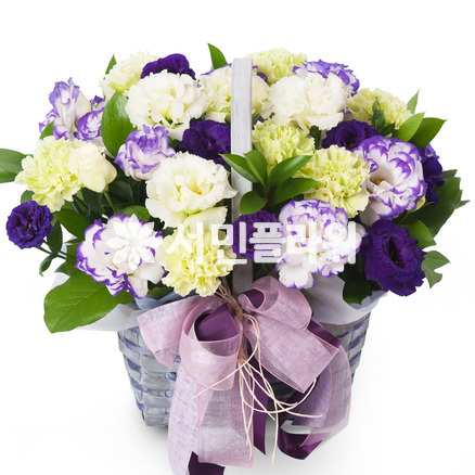 리시안 보라미색 혼합바구니