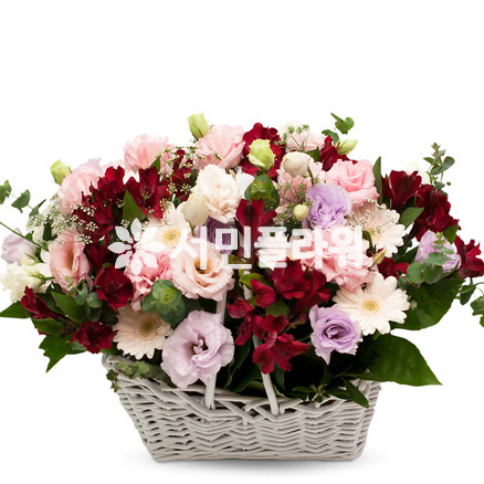 꽃향기 가득
