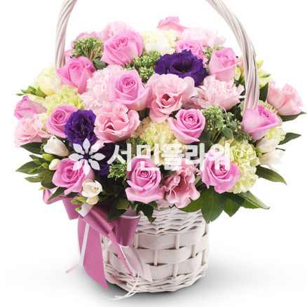 로즈 20호