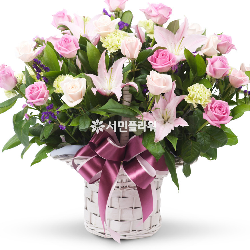 상세이미지