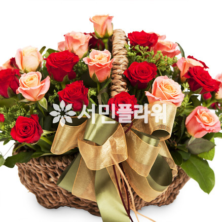 부드러운 미소
