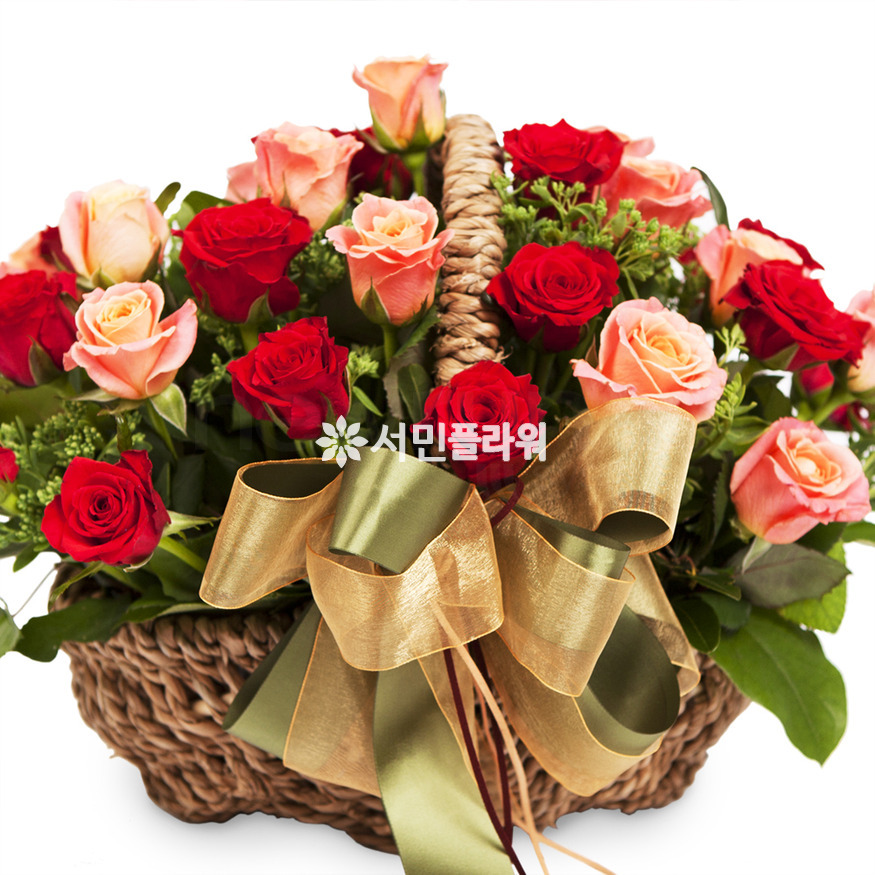 상세이미지