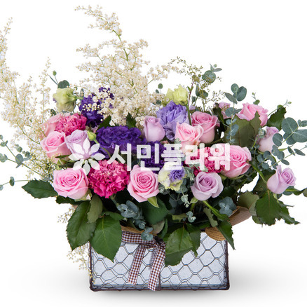 사랑의 바보